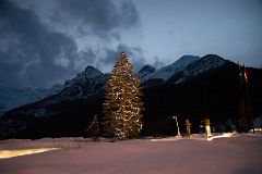 26C Tree With Lights After Sunset At Lake Louise